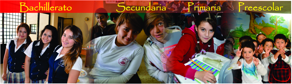 Secciones del Colegio Secciones del Colegio
